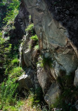 Cliff tasarımınız için bitki örtüsü ile kaplı