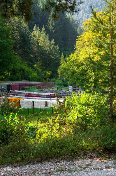 Wolldecken Die Auf Der Stange Trocknen Für Ihr Design — Stockfoto