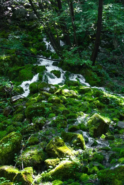 Kleiner Wasserfall Zwischen Mit Moos Bewachsenen Felsen Für Ihr Design — Stockfoto