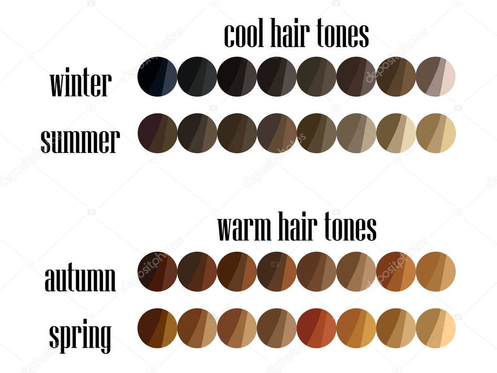 Stock vector seasonal color analysis hair colors palette for all types of female appearance