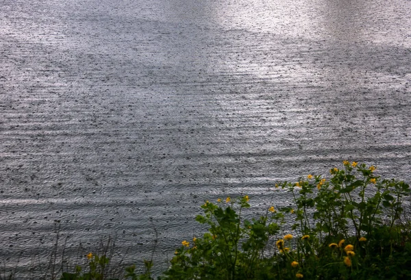 Поверхность Реки Капельками Дождя — стоковое фото