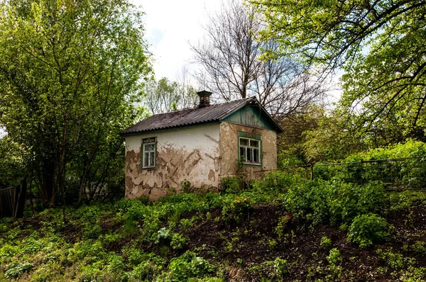 在绿树丛中废弃的旧房子 — 图库照片