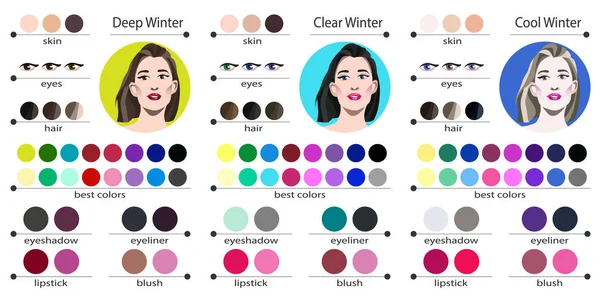 Palette Analyse Des Couleurs Saisonnières Vectorielles Pour Hiver Clair Frais — Image vectorielle