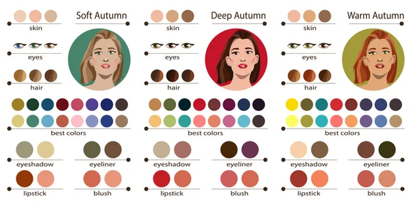 Palette Analyse Des Couleurs Saisonnières Vectorielles Stock Pour Automne Doux — Image vectorielle