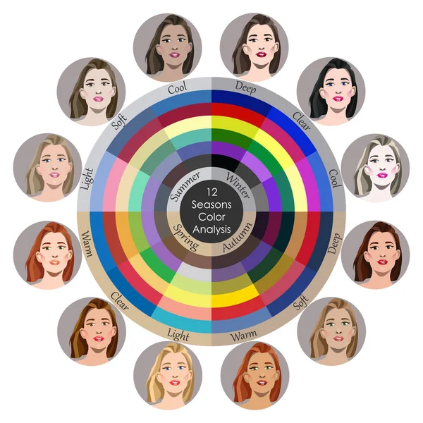 Παλέτα Εποχιακής Ανάλυσης Χρωμάτων Για Όλους Τους Τύπους Γυναικείας Εμφάνισης — Διανυσματικό Αρχείο