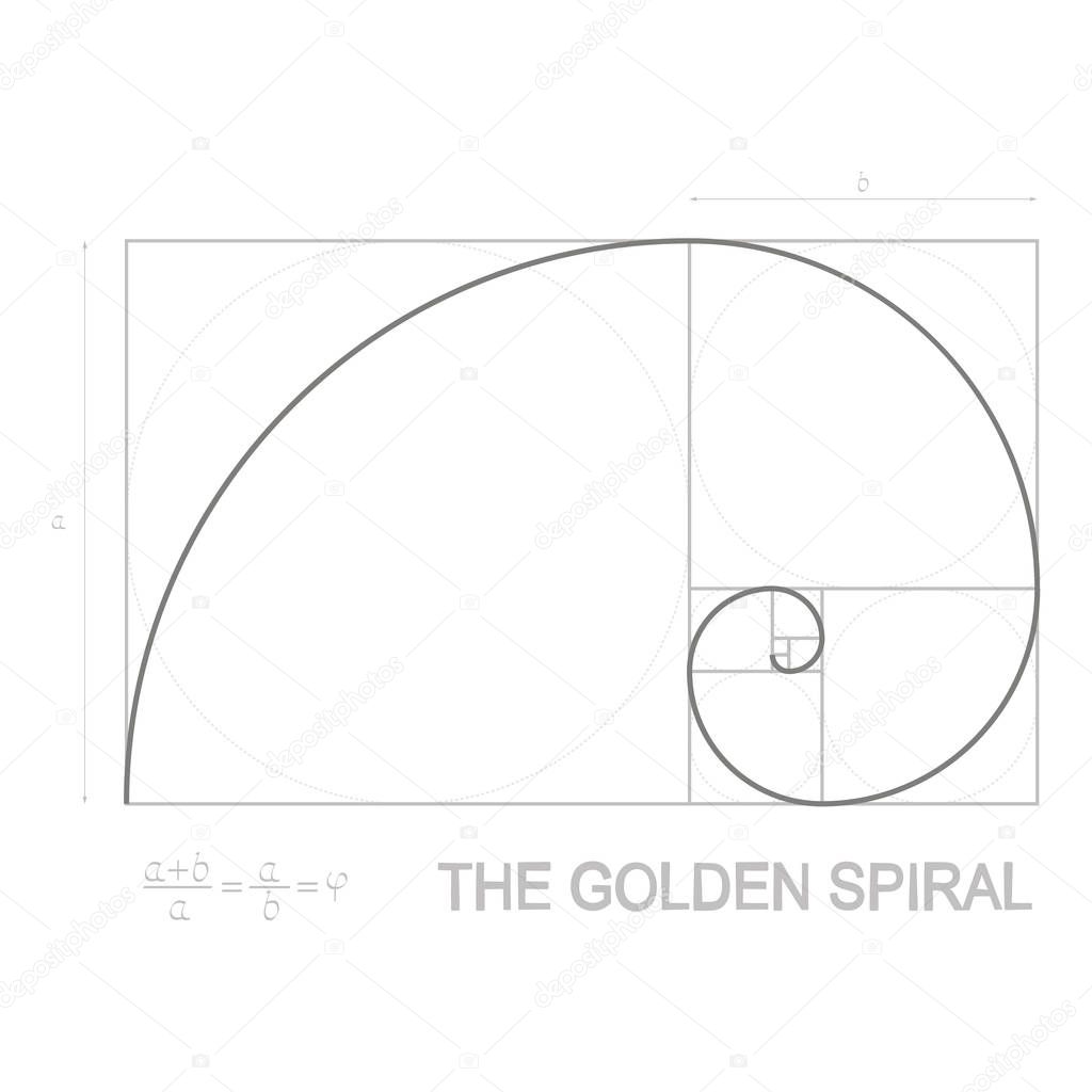 vector illustration on Golden Ratio concept and Golden Spiral