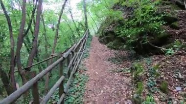 Dağ ormanlarında yürüyüş yolları 