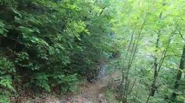 Ormandan dağdaki taş eve giden yol.