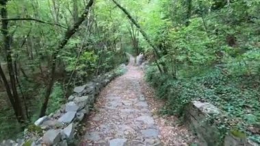 Dağ ormanlarında yürüyüş yolları 
