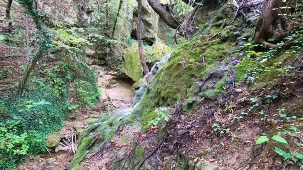 Pequena Cachoeira Floresta Montanha — Vídeo de Stock