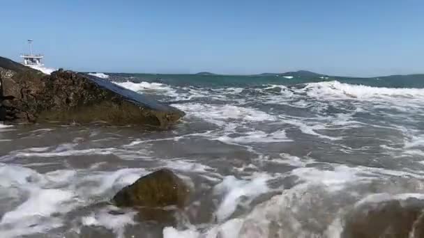 Медленно Движущаяся Морская Волна Брызгами Катится Камням Покрытым Зелеными Водорослями — стоковое видео