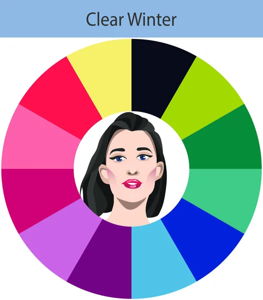 Paleta Wektorowa Sezonowej Analizy Kolorów Dla Czystej Zimy Najlepsze Kolory — Wektor stockowy