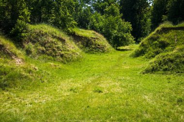 Çayır ve yemyeşil otlarla kaplı güzel tepelerle muhteşem bir manzara.