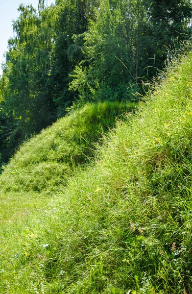 Fantástico Paisaje Con Prado Hermosas Colinas Cubiertas Exuberante Hierba Verde — Foto de Stock