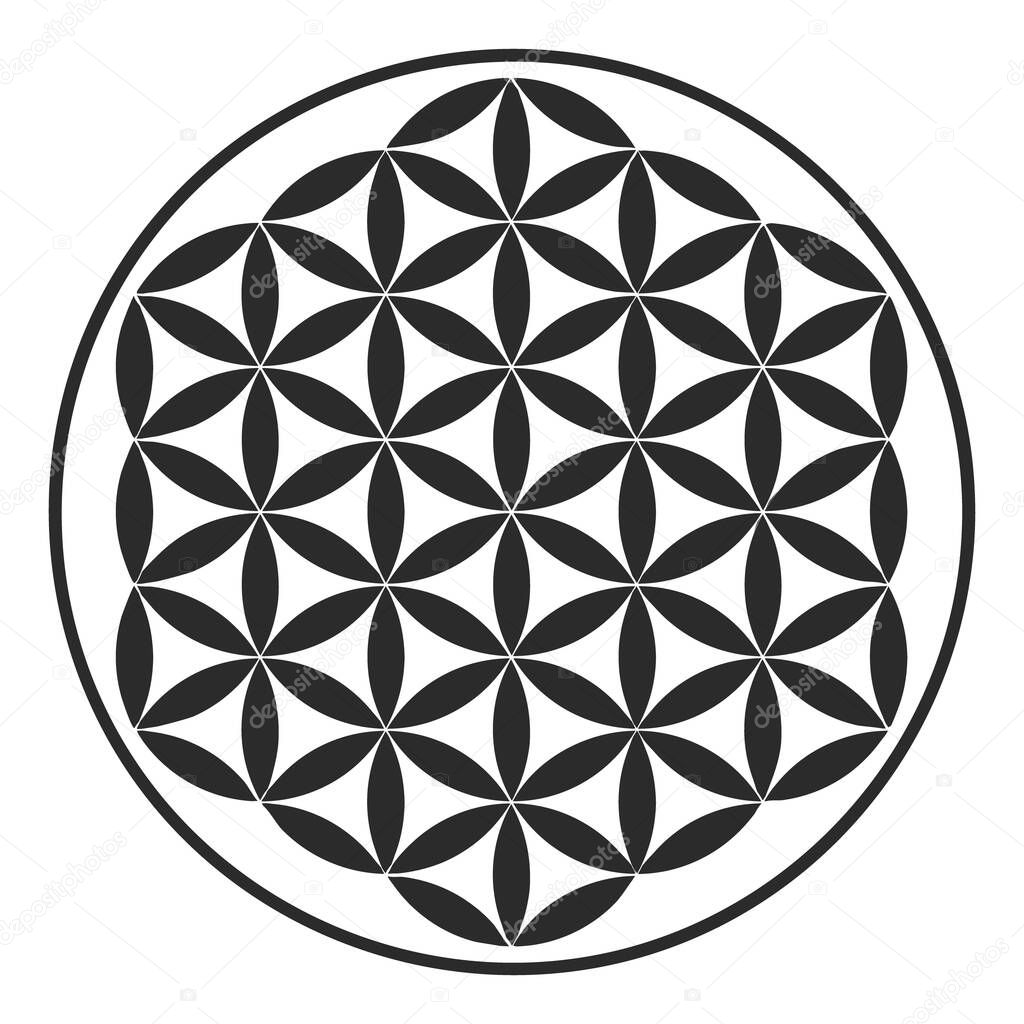vector icon with ancient symbol flower of life for your design