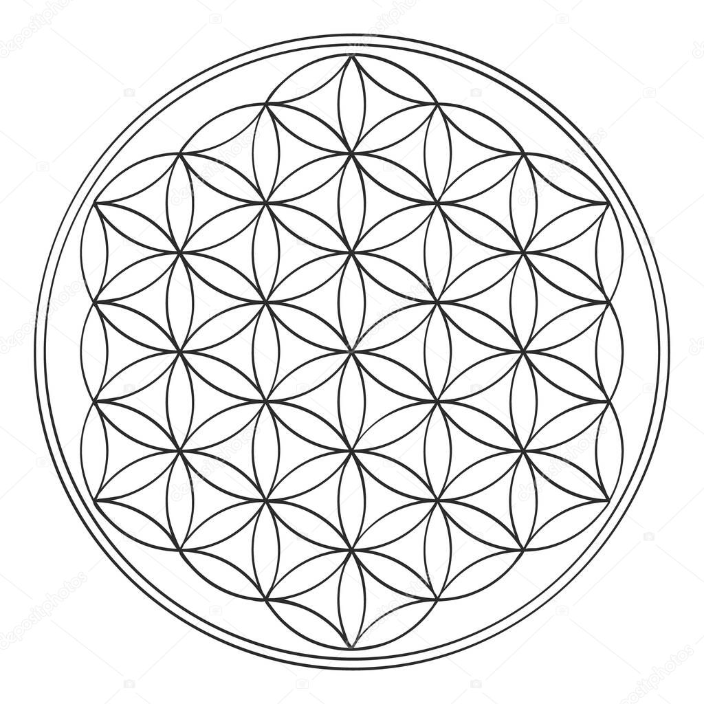 vector icon with ancient symbol flower of life for your design