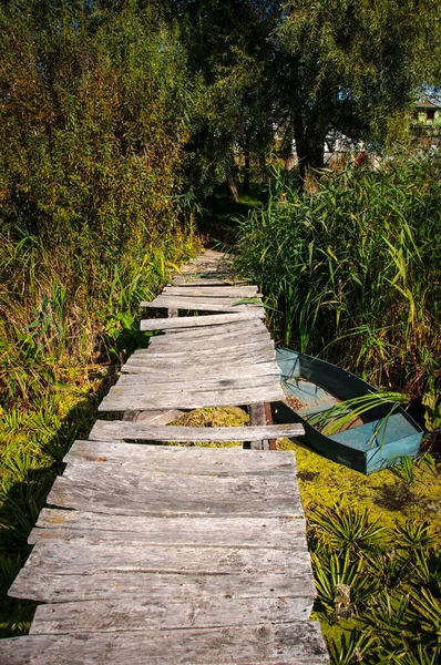 Small Wooden Pier River Quality Image Your Project — Stock Photo, Image