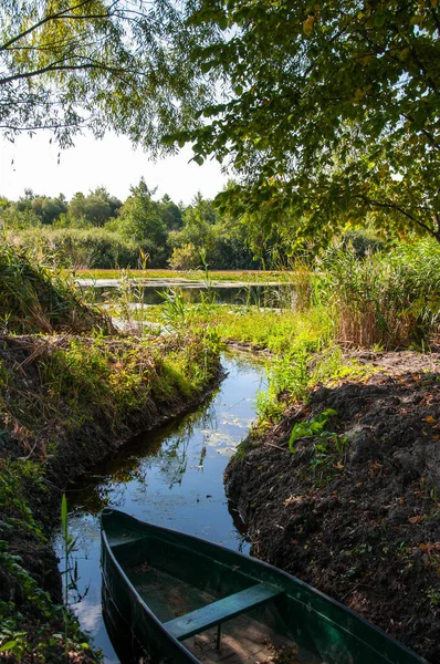 Bateau Bois Amarré Dans Baie Rivière Parmi Les Roseaux Image — Photo