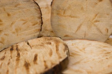 oturum çam yüzük, doğal çam, doğal arka plan, sedir