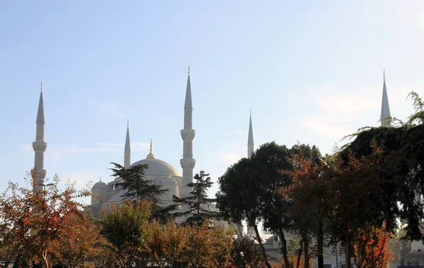 Μπλε Τζαμί Στην Κωνσταντινούπολη Γαλοπούλα — Φωτογραφία Αρχείου