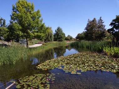 Yaz, yatay, gölet ve ağaçlar