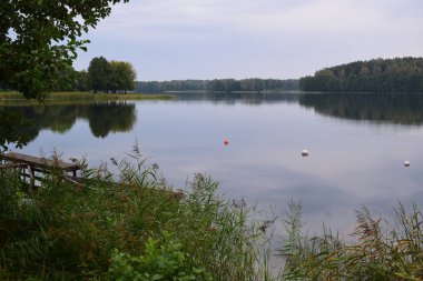 Güzel manzara. Göl, orman, gökyüzü su yansıma desteklemek