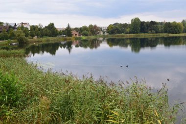 Güzel manzara. Göl, orman, gökyüzü su yansıma desteklemek