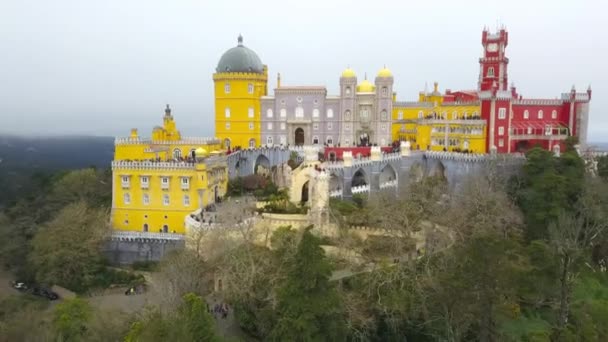 ポルトガル シントラのペナ宮殿 パラシオ の周りの空中 宮殿はユネスコの世界遺産で ドローンから撮影 — ストック動画