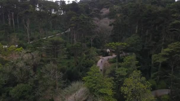 Aerial View Park Mountains Trees Palacio Pena Sintra Portugal Palace — Stock Video