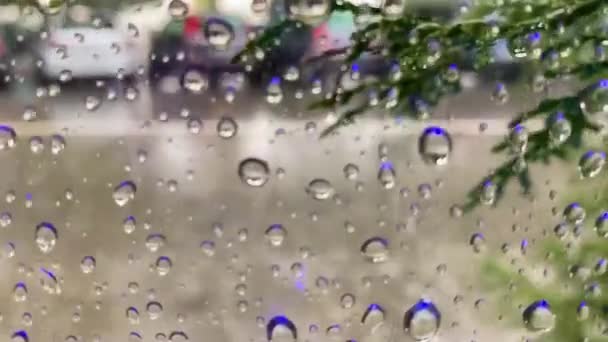 ガラスの上の雨の滴 背景にぼやけた車の中で 木は風と共に動く 窓からの眺め — ストック動画
