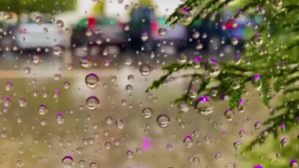 Дождь Окном Вид Окно Внутри Дома Сильный Весенний Дождь Улице — стоковое видео
