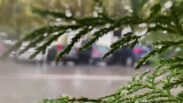 Rua Urbana Com Objetos Embaçados Gotas Chuva Vidro Janela Carros — Vídeo de Stock