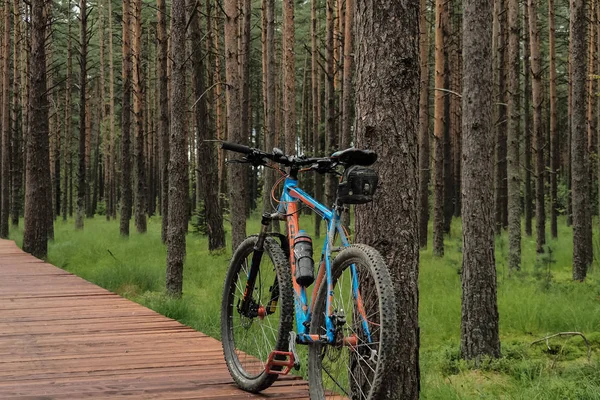 Cycling Forest Rest — Stock Photo, Image