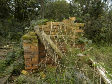 Mutlak evde kalıntıları ve terk 