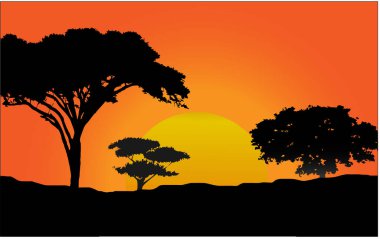 günbatımı meşe ağaçları ile orman