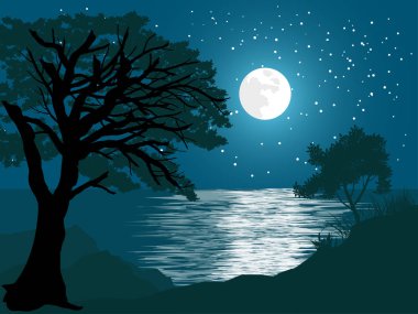 deniz ve yıldızlı gökyüzü ile gece manzara