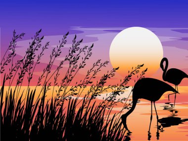 çim ve flamingo ile gün batımı sahnesi