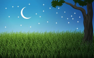 Geceleri ay ve yıldızlarla otlaklar