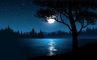 Gece gölde, ay ışığında.