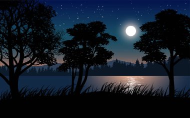 Gölde ay ışığında güzel bir gece