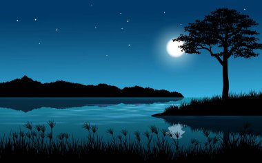 Gece sahnesinde ay ışığında güzel bir göl