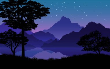 Göl kıyısında yıldızlı bir gece.