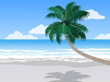 Hindistan cevizi ağacıyla güzel bir sahil manzarası.