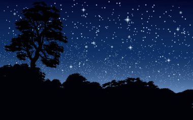Orman vektör manzarasında yıldızlı bir gece