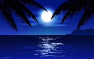 Palmiye ve ay ışığıyla güzel bir sahil gecesi