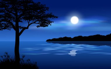 night at lake with moon and tree
