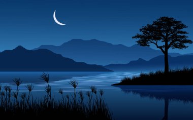 Güzel gece manzarasında nehir