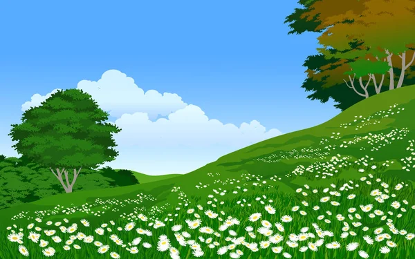 Beautiful Nature Background Flowers Meadow Trees — Vettoriale Stock