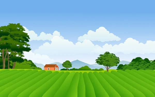 美丽的乡村 有房子和农田 — 图库矢量图片