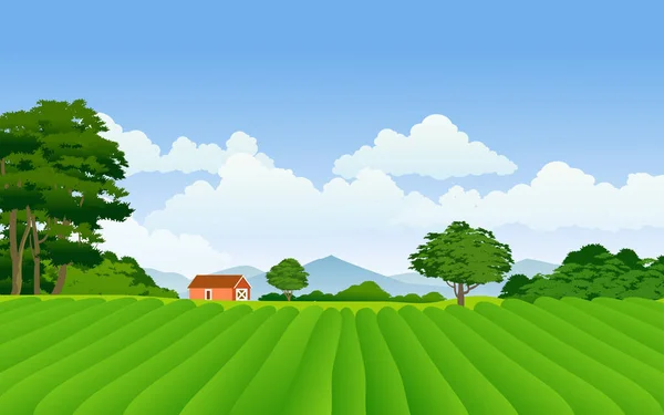 Hermoso Campo Con Casa Tierras Cultivo — Vector de stock